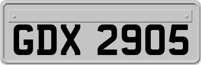 GDX2905