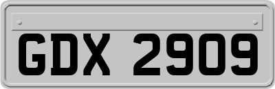 GDX2909