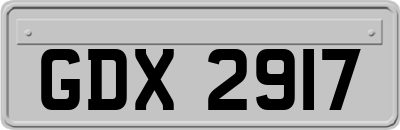 GDX2917