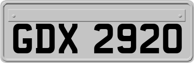 GDX2920