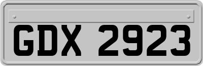 GDX2923