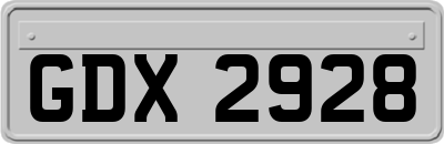 GDX2928