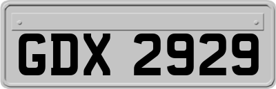 GDX2929