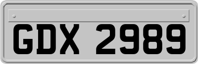 GDX2989
