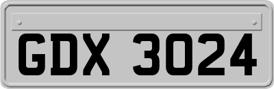 GDX3024