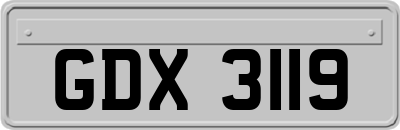 GDX3119