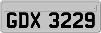 GDX3229