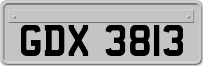 GDX3813