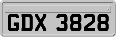 GDX3828