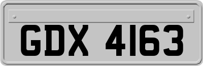 GDX4163