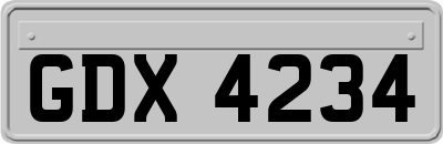 GDX4234