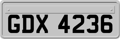GDX4236