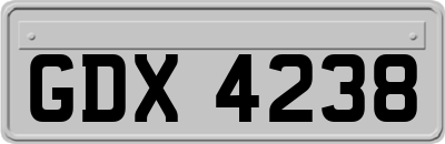 GDX4238