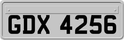GDX4256