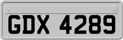 GDX4289