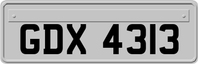 GDX4313