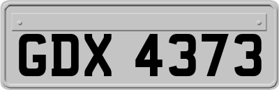 GDX4373