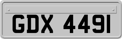 GDX4491