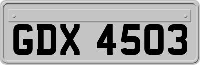 GDX4503