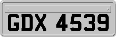 GDX4539