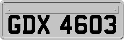 GDX4603