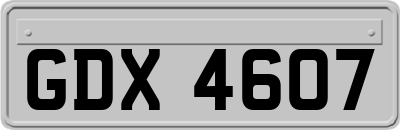 GDX4607