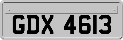 GDX4613