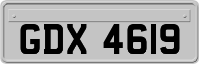 GDX4619