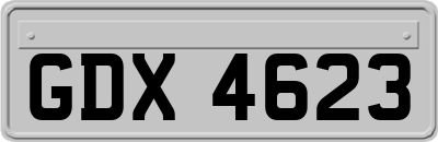 GDX4623