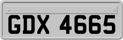 GDX4665