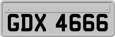 GDX4666