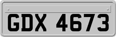 GDX4673