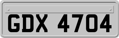 GDX4704