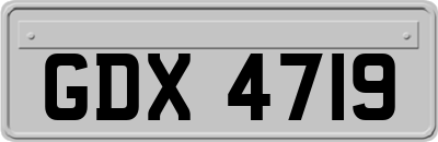 GDX4719