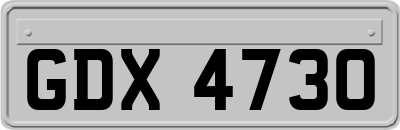 GDX4730