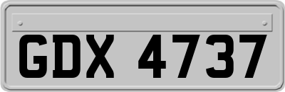 GDX4737