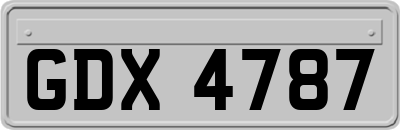 GDX4787