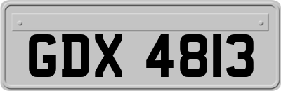 GDX4813