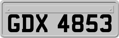 GDX4853