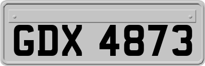 GDX4873