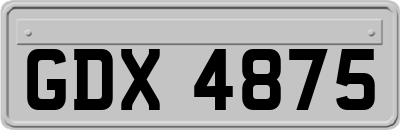 GDX4875