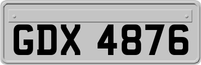 GDX4876