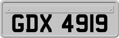 GDX4919