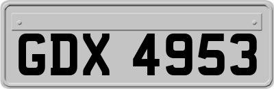 GDX4953