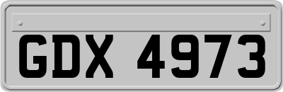 GDX4973