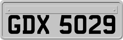GDX5029