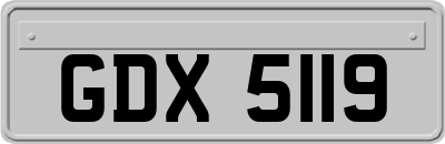 GDX5119
