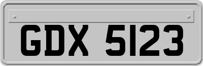 GDX5123