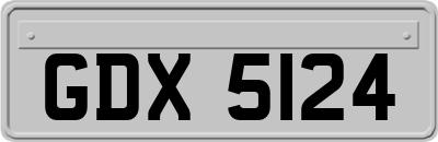 GDX5124