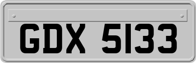 GDX5133